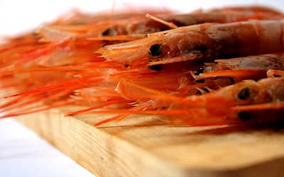 Buzara Style Shrimps