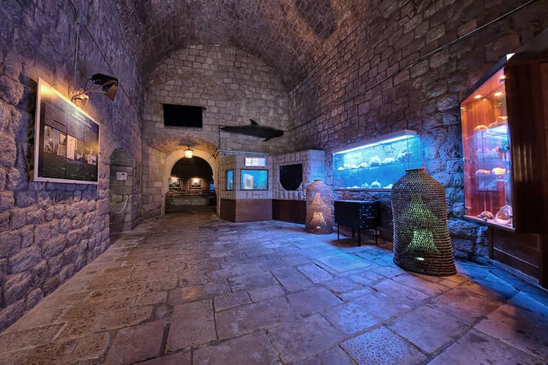Dubrovnik Sea Aquarium