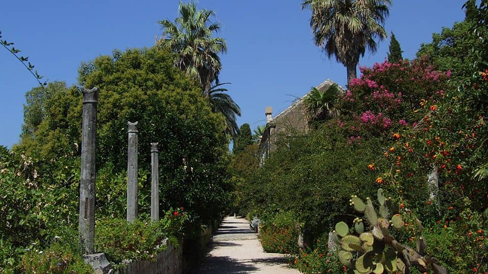 Arboretum Trsteno near Dubrovnik