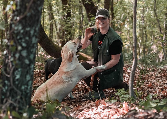 Istria Truffle hunting & cooking tour